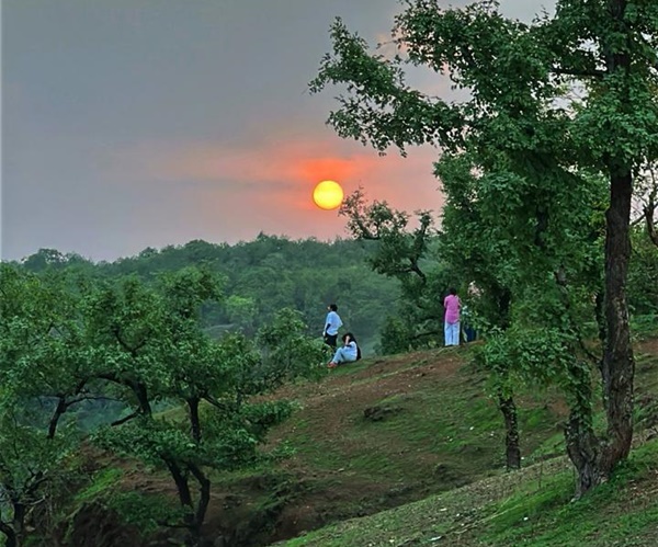 naidunia_image